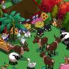 jerrycatfarm40