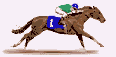 racehorse1