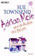 "Adrian Mole und die Achse des Bösen" von Sue Townsend, Marlies Ruß bei Amazon bestellen...