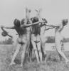 Nudists worshipping the Sun, 1926