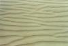 Sandrippchen