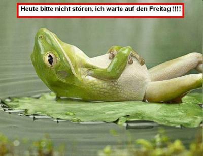 Neues-Bild