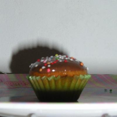 babymuffin1