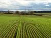 Bestelltes-feld