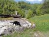 Katze-an-Ulrich-Klause