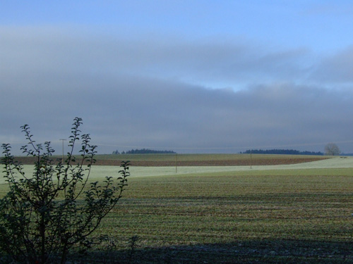 Morgenblick