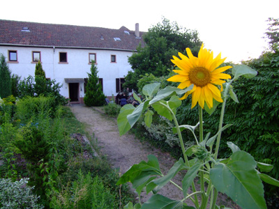 abend-im-garten