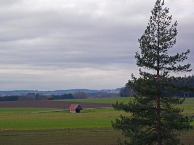 feldscheuer-in-reute