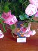 friedhelms-blumen
