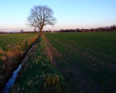 fruehlingshaft