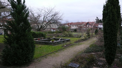 grauer-morgen1