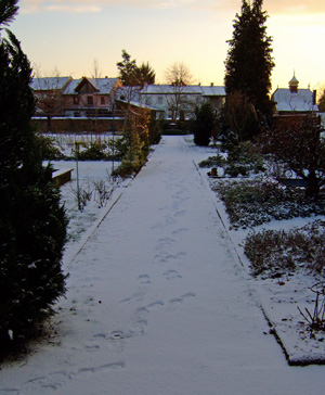 schnee1