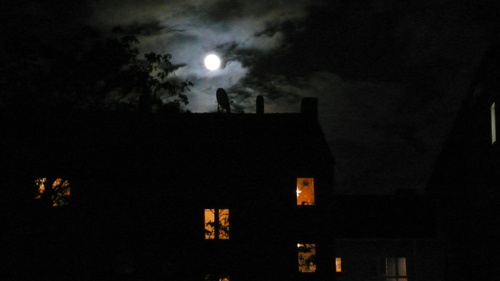 vollmond
