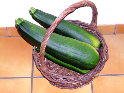 zuchini