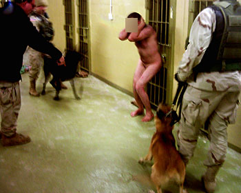 Bild eines nackten angeketteten Gefangenen in Abu Ghraib, dem man mit einem Bluthund Angst macht.