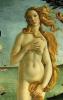 Boticelli Geburt der Venus Ausschnitt