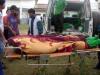 Bolivien: Leichen von erschossenen Kleinbauern