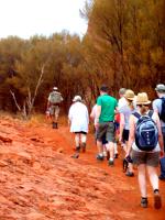 Die-Meute-folgt-dem-Tour-Guide