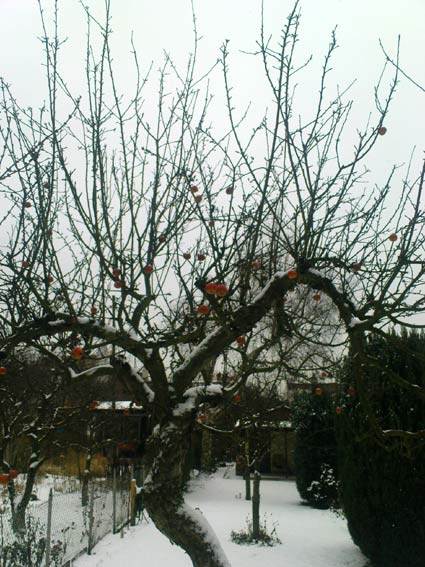 winter
