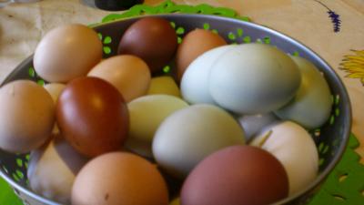 Eiersegen-im-Eifelgarten