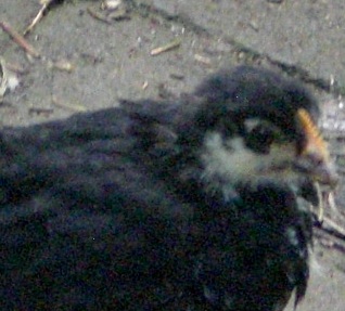 Uno-die-Nummer-1