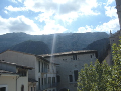 DSCF1139