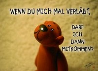 Baer-verlassen