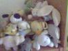 bild004