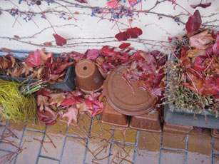 Herbstbalkon-2