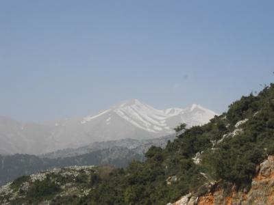 White-Mountains