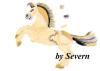 by-severn-2