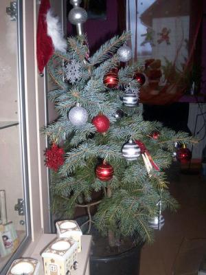 weihnachtsbaum3