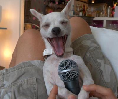 singing_dog