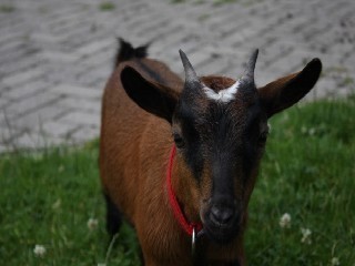 IMG_9091-640x427-