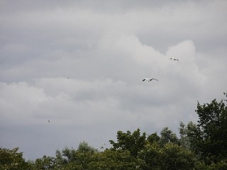 IMG_9276-640x427-