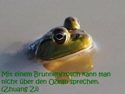 frosch1