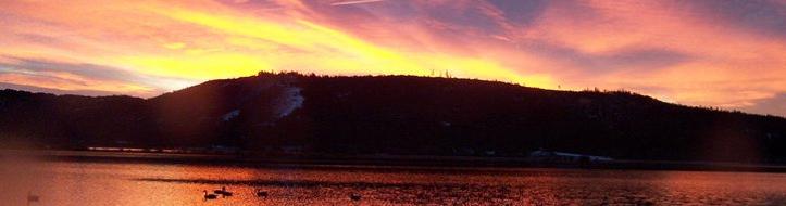 header