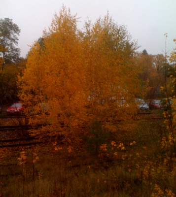 herbst-bahn
