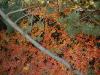 Bild-019