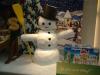 Bild333-018