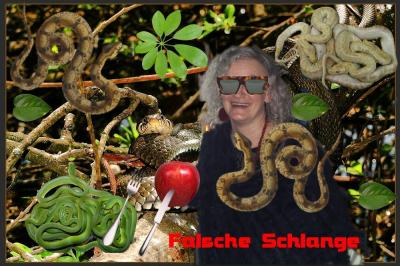 Diese FRau ist eine falsche Schlan