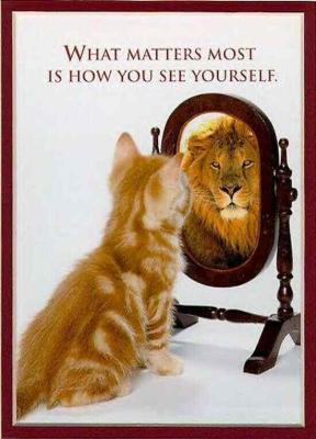 KITTEN-LION-MIRROR