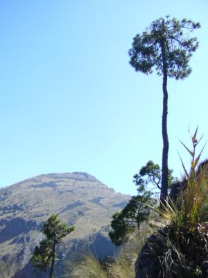 P1020469