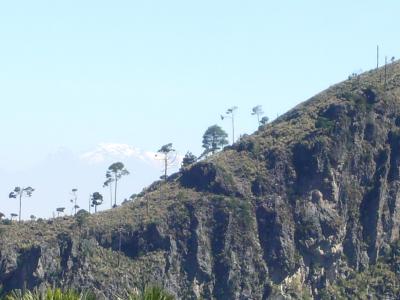 P1020471