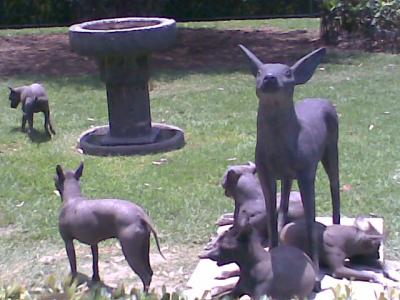 Imagen022