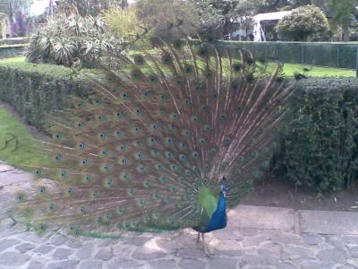 Imagen032