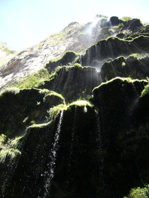 P1020785