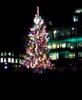 Christmas-Tree1