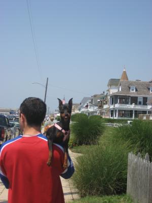 CapeMay0302
