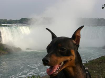 Niagara-Falls-16